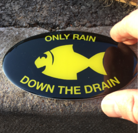 Yellow Fish Only Rain Down the Drain